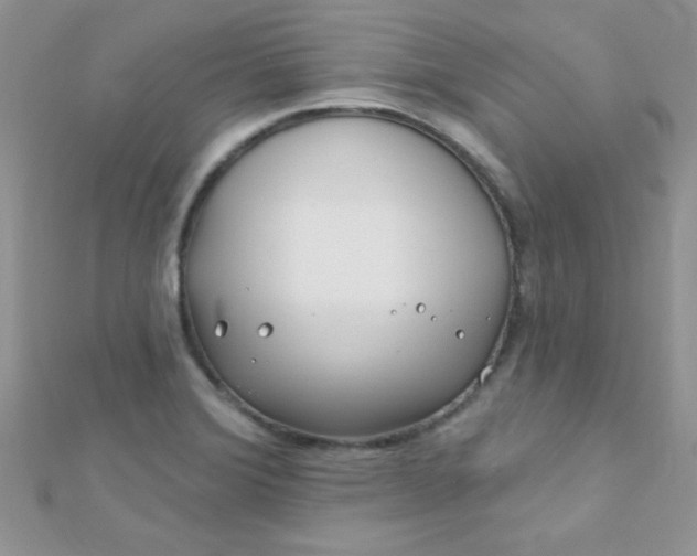 X0000112391372200909032005