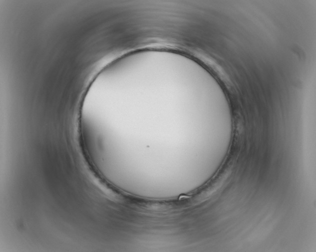 X0000112391375200909032005