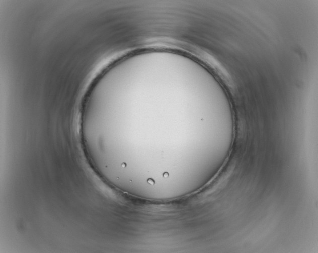 X0000112391376200909032005