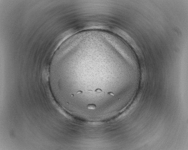 X0000112391377200909032005