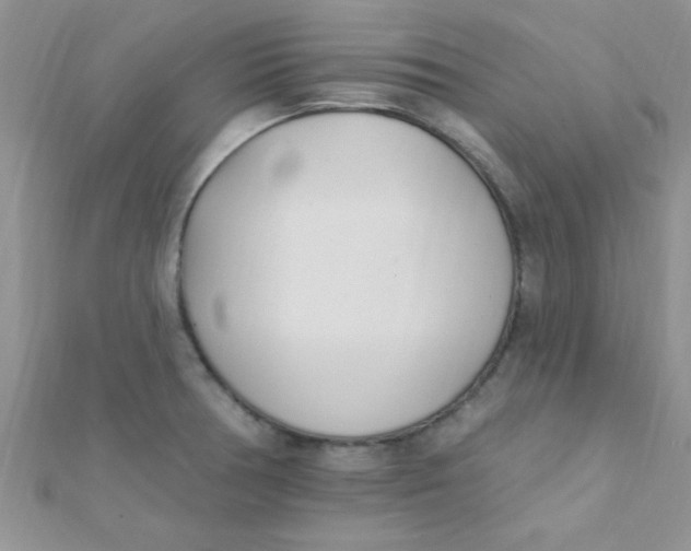 X0000112391378200909032005