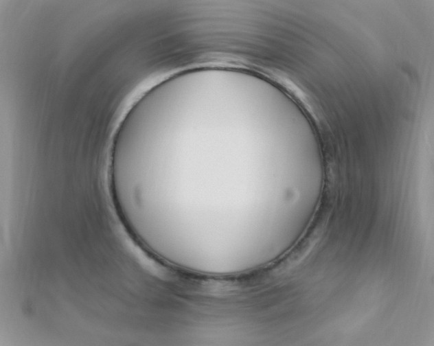 X0000112391379200909032005