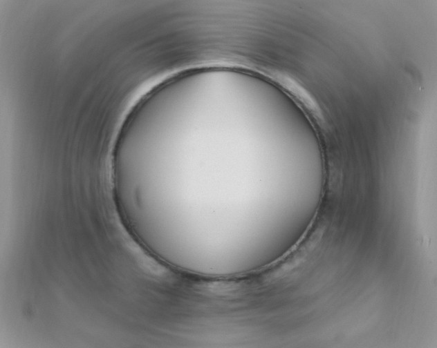 X0000112391380200909032005