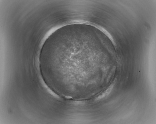 X0000112391381200909032005