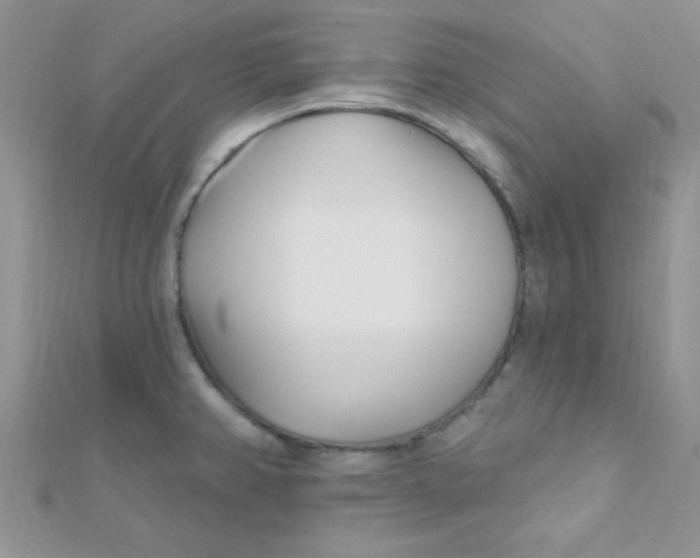 X0000112391382200909032005