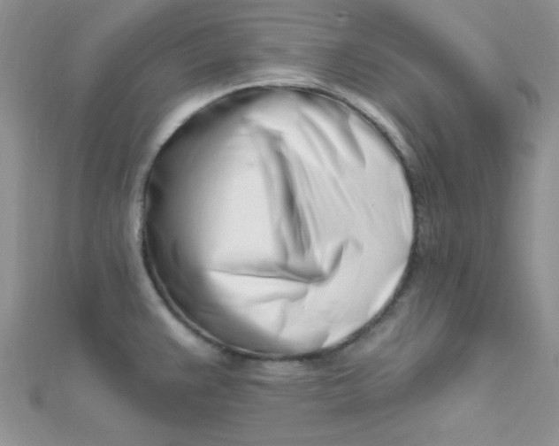 X0000112391383200909032005