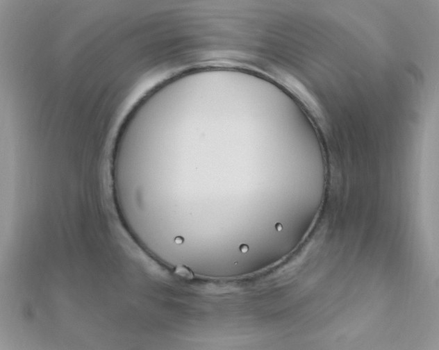 X0000112391384200909032005