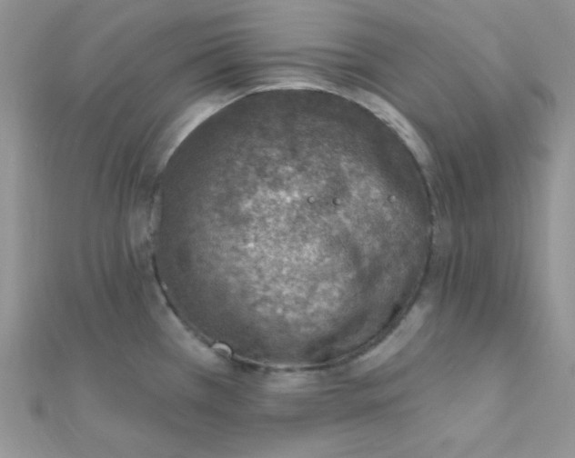 X0000112391385200909032005