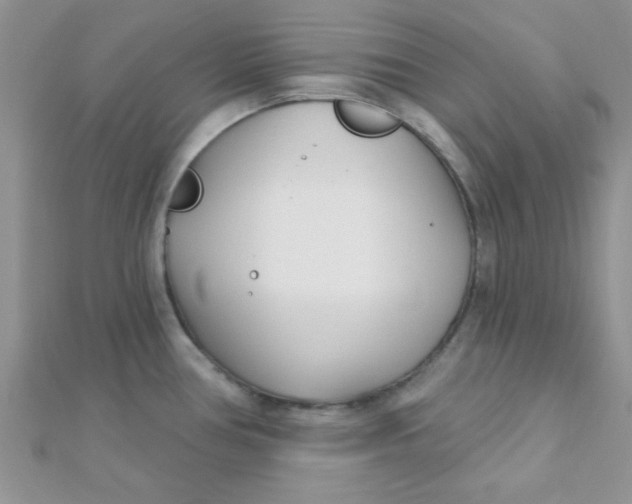 X0000112391386200909032005