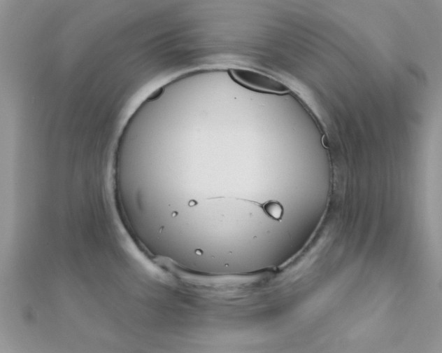 X0000112391387200909032005