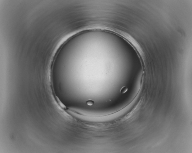 X0000112391388200909032005