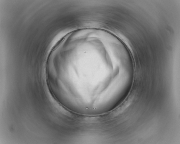 X0000112391389200909032005