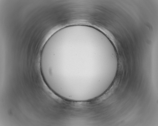 X0000112391390200909032005