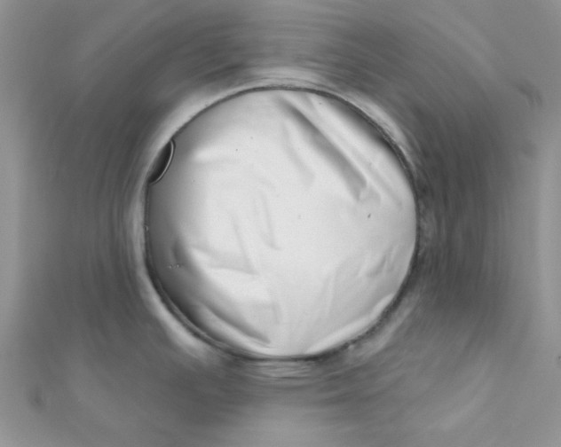 X0000112391391200909032005