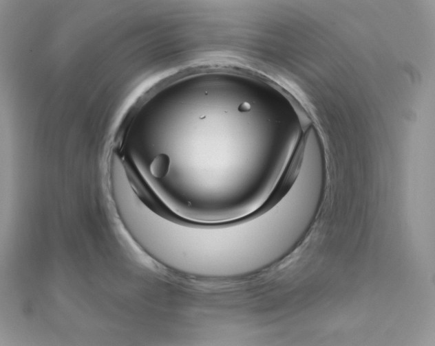 X0000112391392200909032004