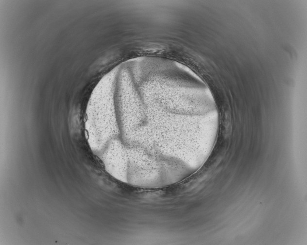 X0000112391394200909032004