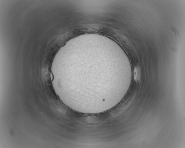 X0000112391395200909032004