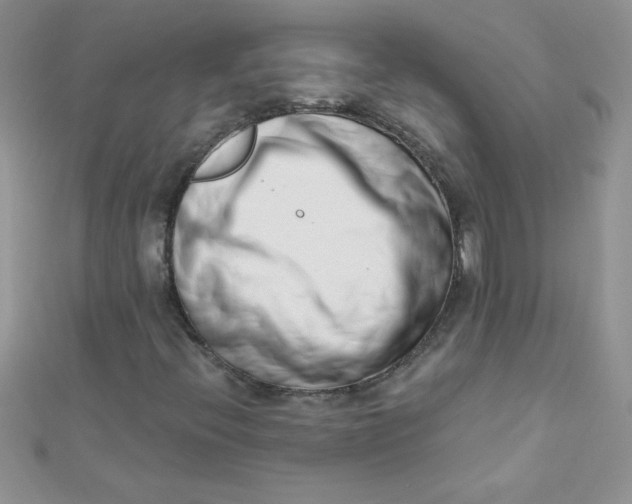 X0000112391396200909032004