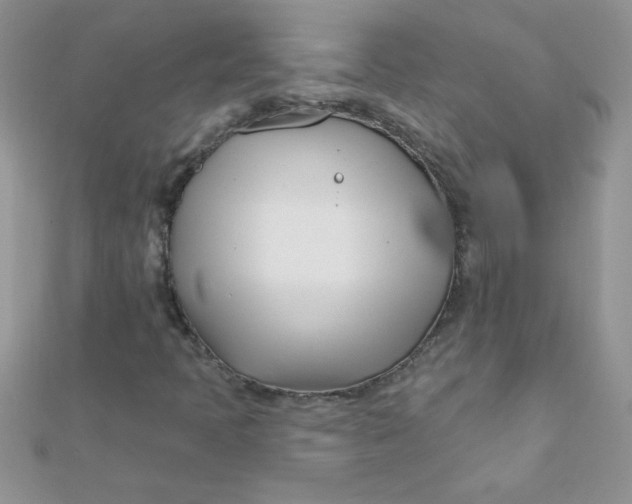 X0000112391397200909032004