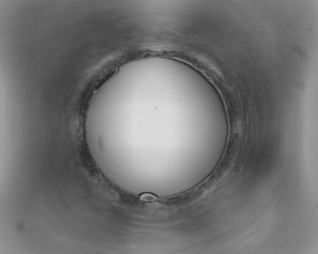 X0000112391398200909032004