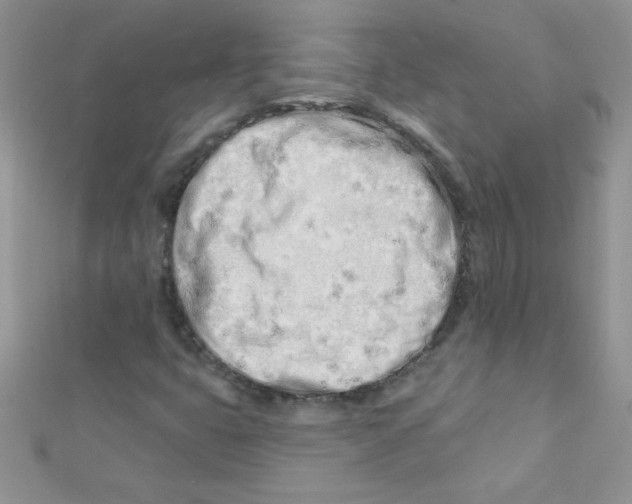 X0000112391399200909032004