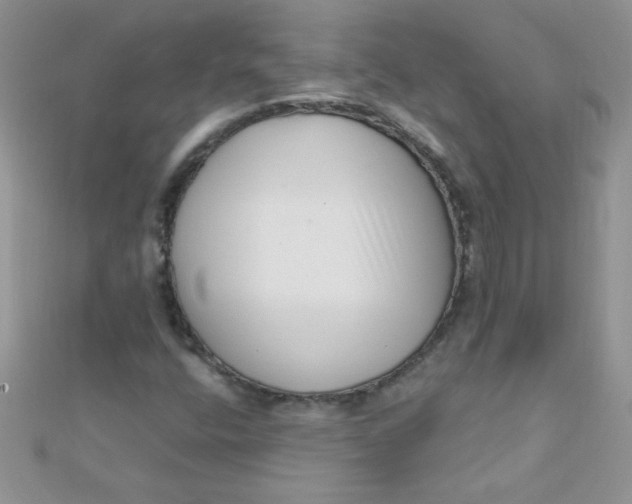 X0000112391400200909032004