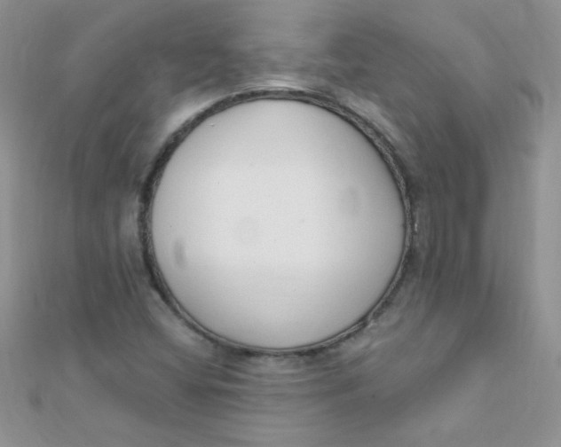 X0000112391404200909032004