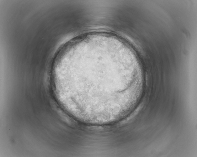 X0000112391405200909032004