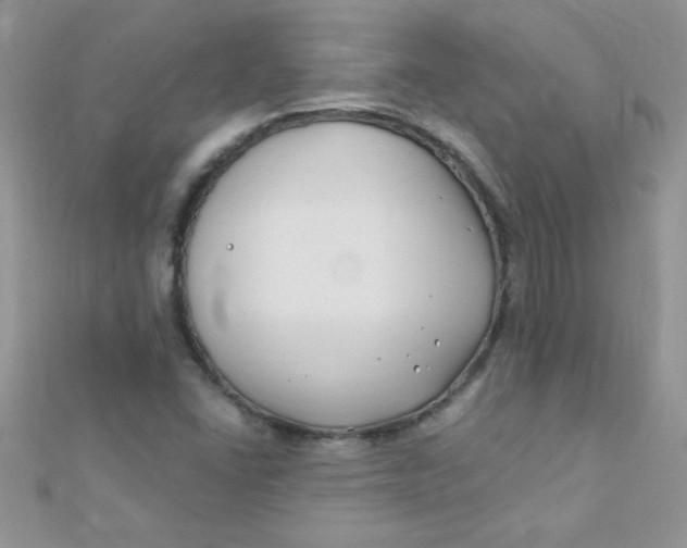 X0000112391406200909032004