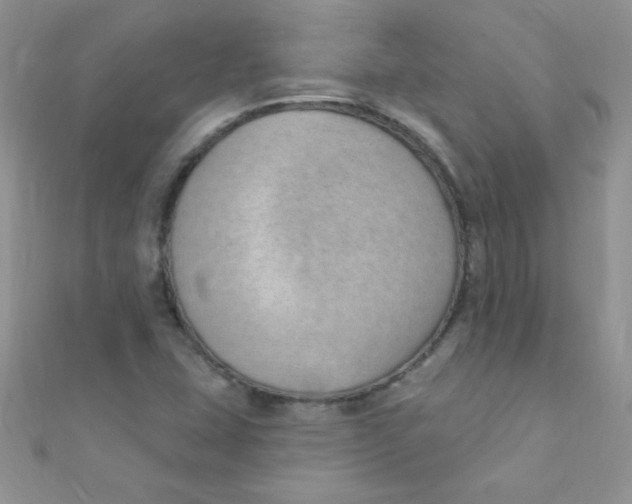 X0000112391407200909032004