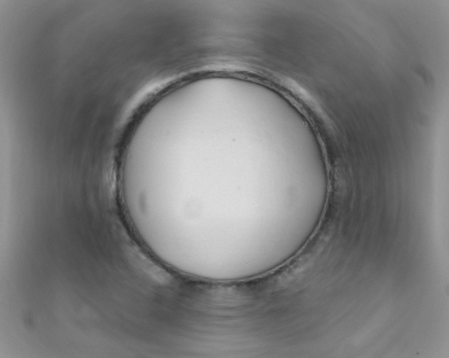 X0000112391408200909032004