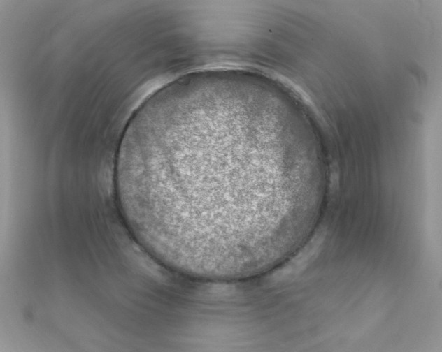 X0000112391409200909032004