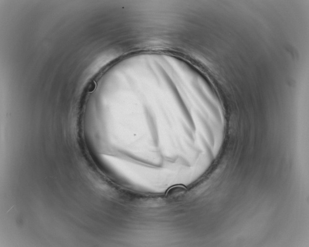 X0000112391410200909032004