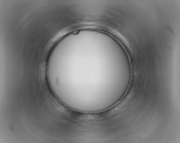 X0000112391411200909032004