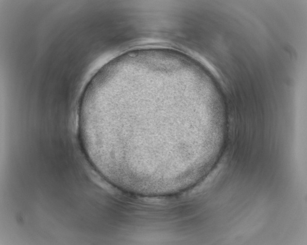 X0000112391413200909032004