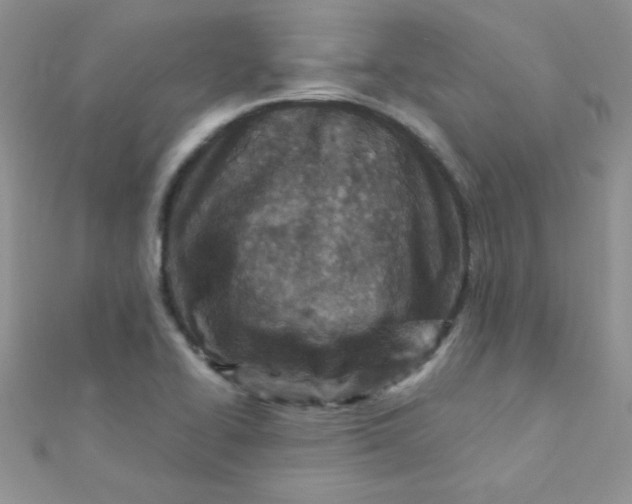 X0000112391414200909032004