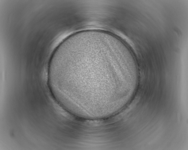 X0000112391415200909032004