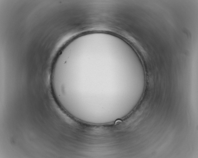 X0000112391416200909032004