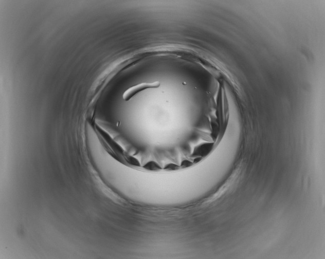 X0000112391417200909032004