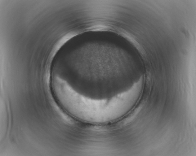 X0000112391418200909032004