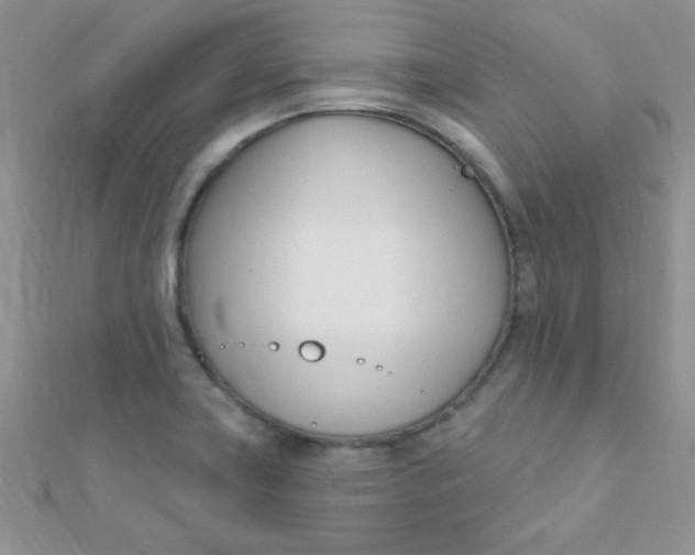 X0000112391419200909032004