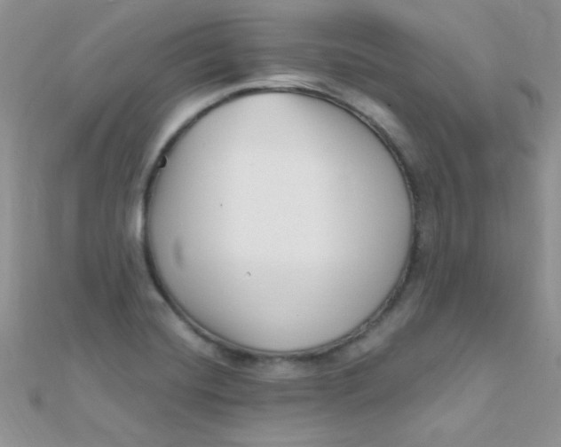 X0000112391420200909032004