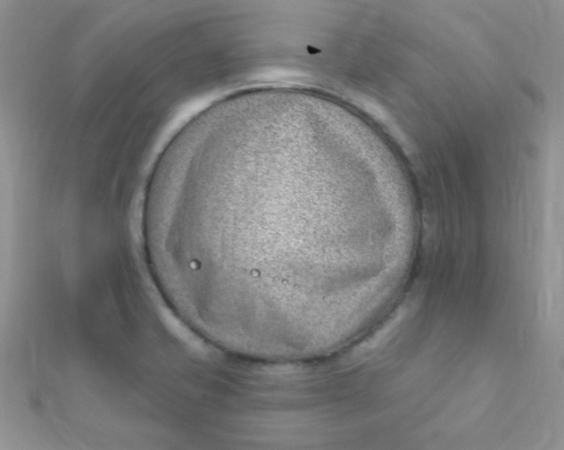 X0000112391421200909032004