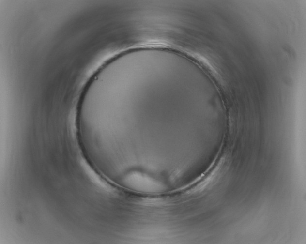 X0000112391422200909032004