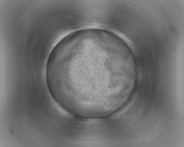 X0000112391423200909032004