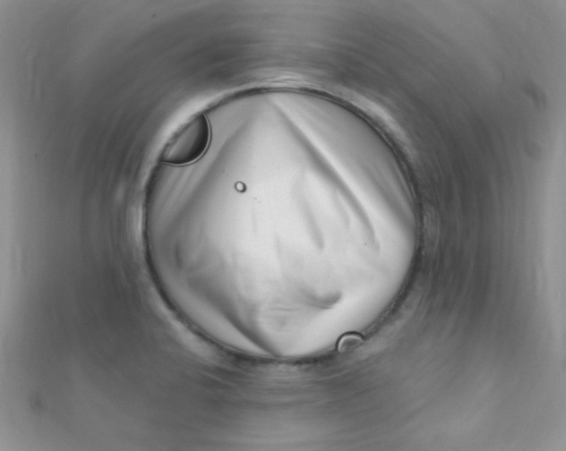 X0000112391424200909032004