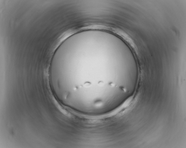 X0000112391425200909032004