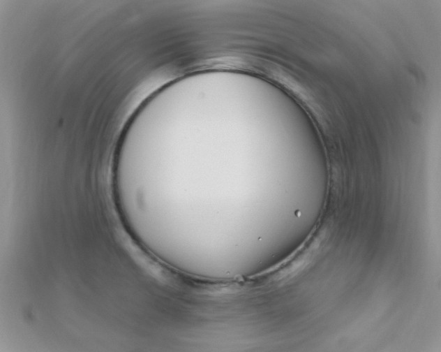 X0000112391426200909032004