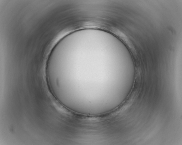 X0000112391427200909032004