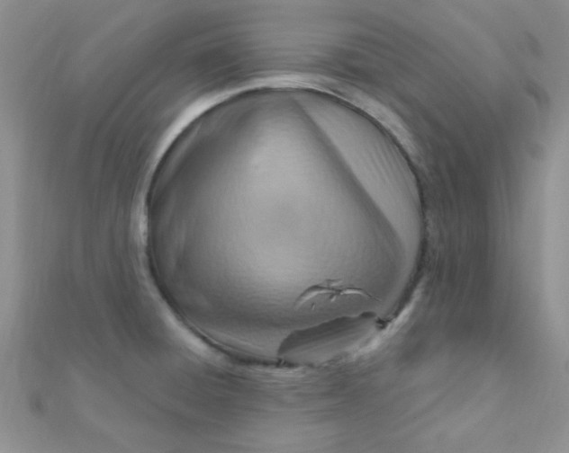 X0000112391428200909032004